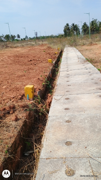 Plot For Sale in Nadaprabhu Kempegowda Layout Kodigehalli