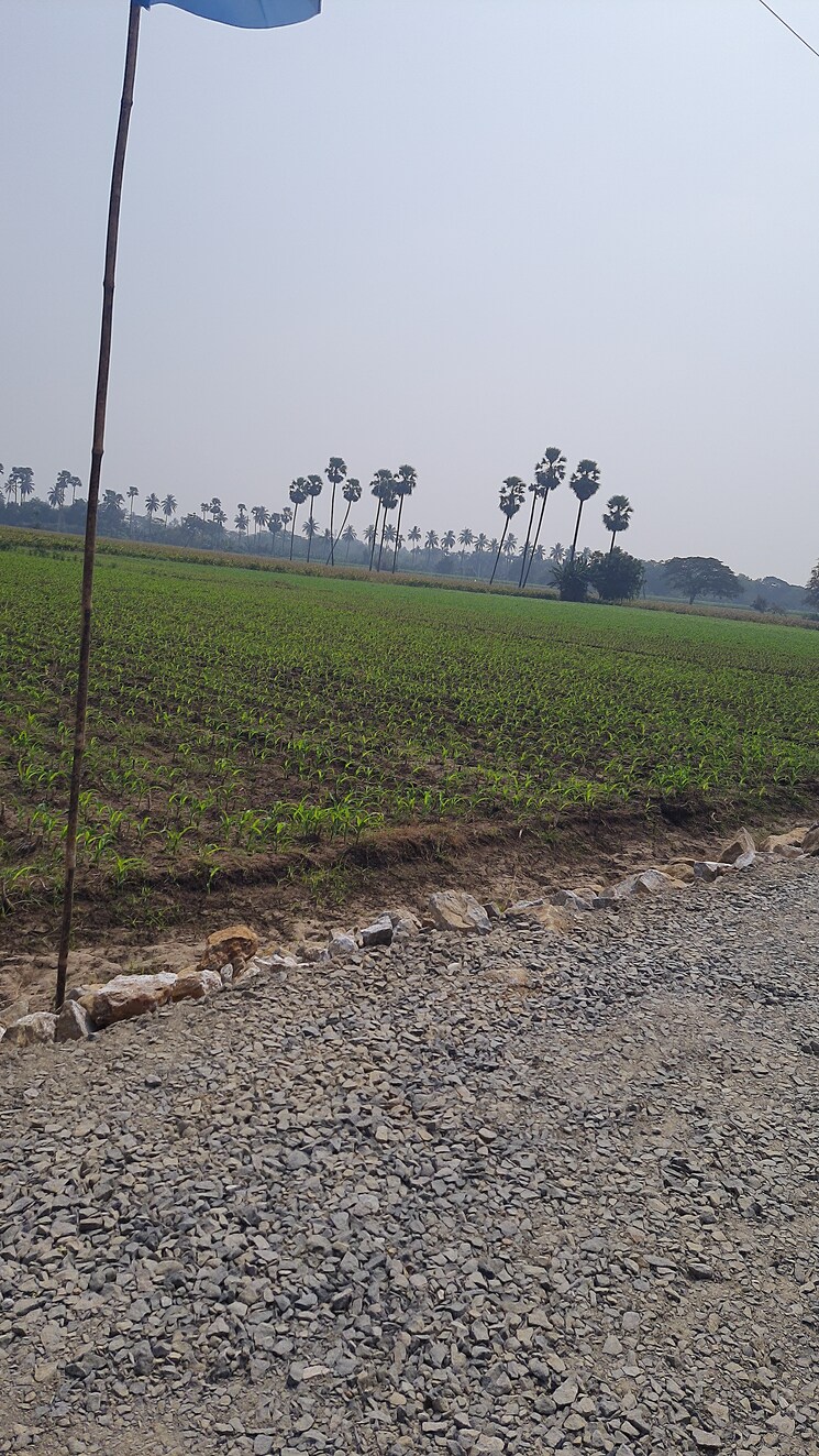 Garden, penamaluru  250 Sq.Yd. Plot In Penamaluru Vijayawada 8276201