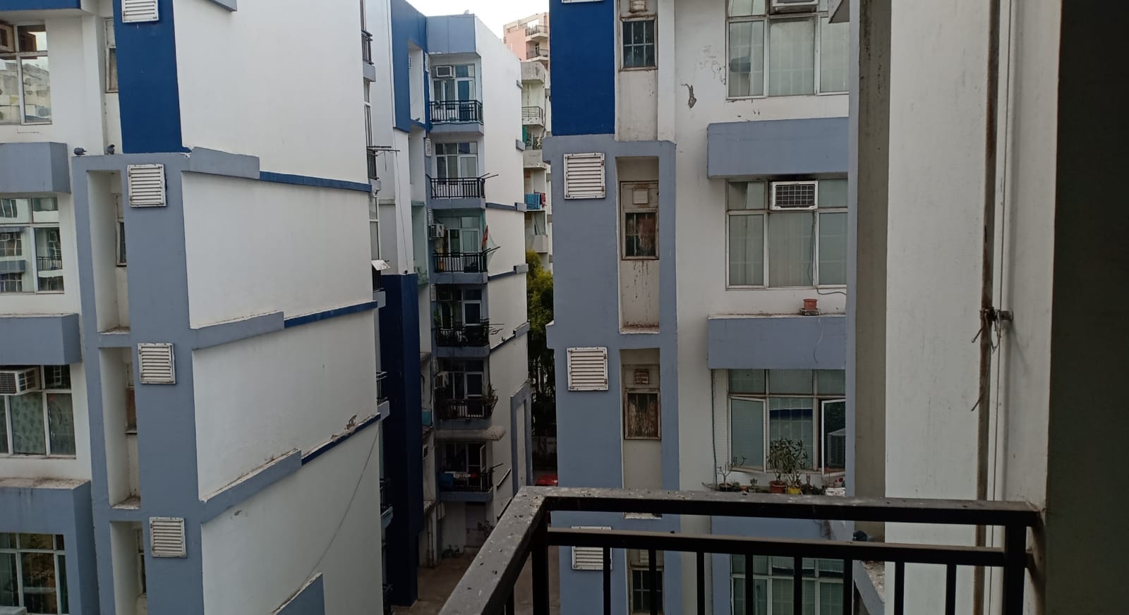 3 BHK + Pooja Room 1720 Sq.Ft. Apartment in Sandwoods Spangle Condos