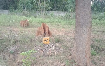 Land For Sale in Bagaluru