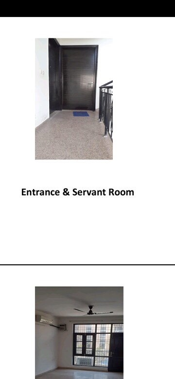 Room in 3 BHK Builder Floor at Omaxe Silver Birch, North Mullanpur – for Rent