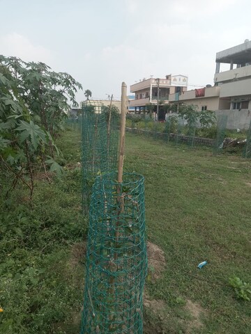  Plot – Garden View at Langar House - for Sale