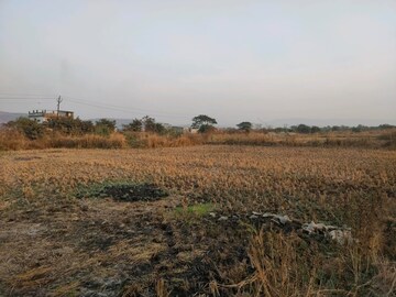 Plot Area in  Plot at Ranjanpada – for Sale