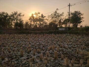 Plot Area in  Plot at Ranjanpada – for Sale
