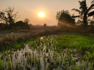 Plot Area in  Plot at Dronagiri – for Sale