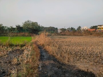 Plot Area in  Plot at Dronagiri – for Sale