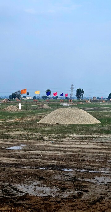 Commercial Industrial Plot 599 Sq.Yd. For Resale in Noorwala Panipat  8280613