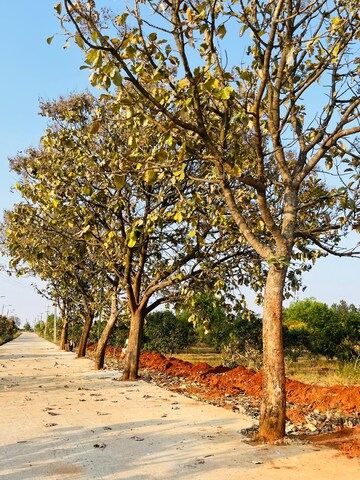  Plot – Garden View at Bagalur Road - for Sale