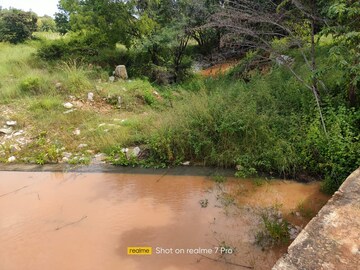 Plot Area in  Plot at Rewild Doddaballapura, Sonnenahalli – for Sale