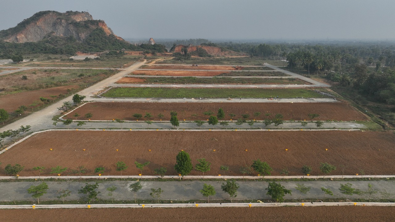 Plot For Sale in Bhogapuram Real Estates 