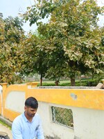 1250 Sq.Yd. Plot in Gomtinagar Extension 