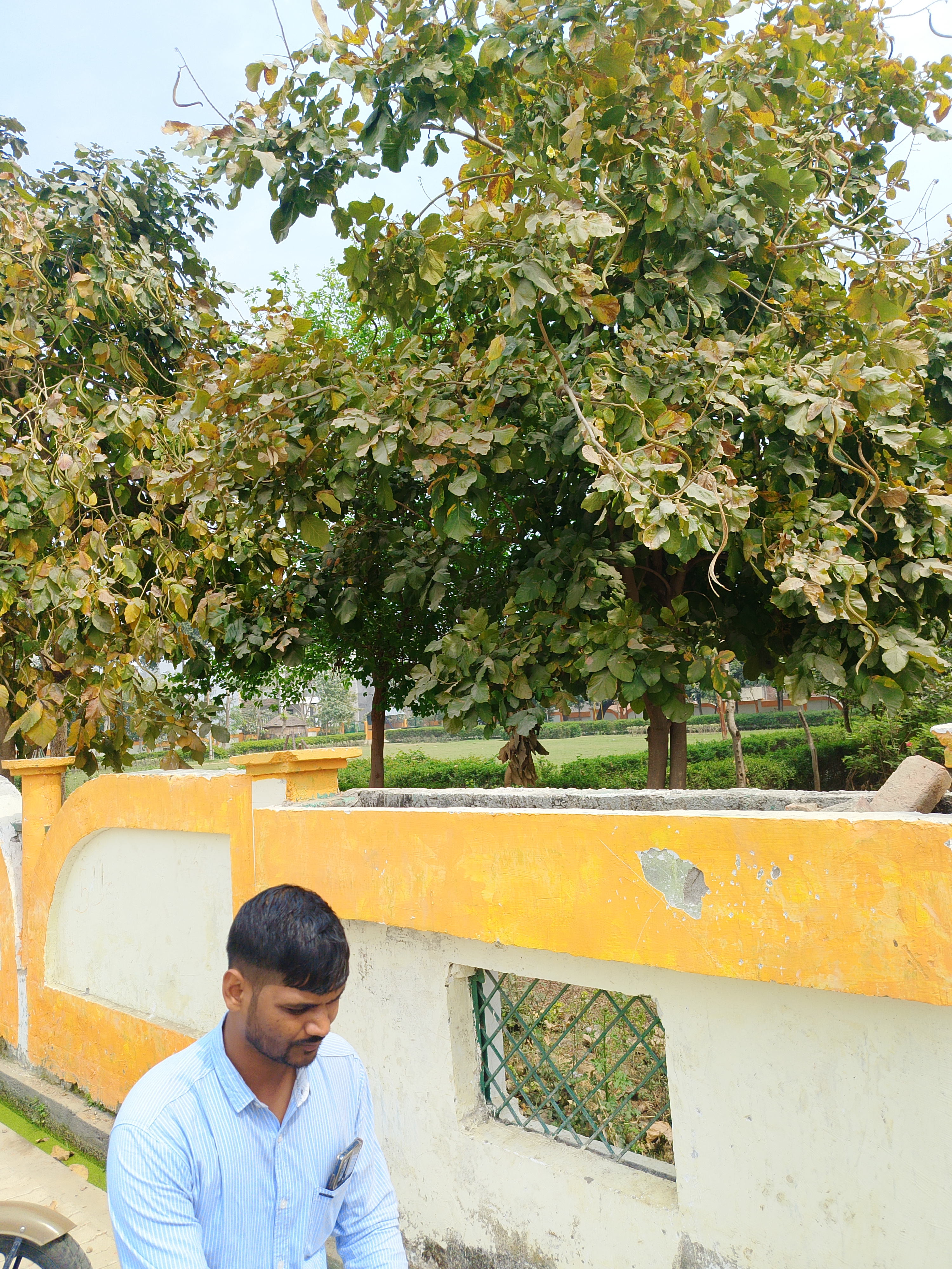 Plot For Sale in Gomtinagar Extension 