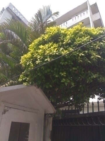 6+ BHK Independent House – Exterior View View at Maharani Bagh - for Sale