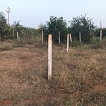 300 Sq.Yd. Plot in Patancheru Plots