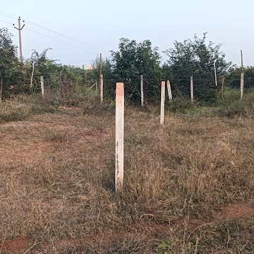 Plot For Resale in Muthangi Hyderabad  8282170