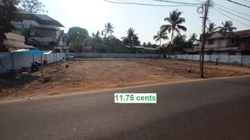 Plot For Resale in Puthiyakavu Kochi  8282204