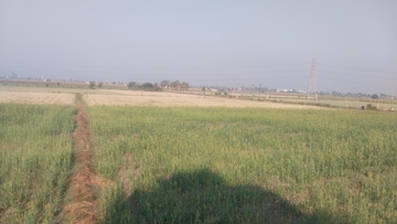 Commercial Land 1500 Sq.Yd. For Rent in Adajan Surat  8282293