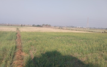 Land For Rent in Adajan