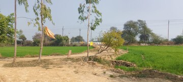 Plot Area in  Plot at Chhatikara – for Sale