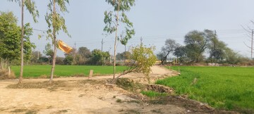 Plot Area in  Plot at Chhatikara – for Sale