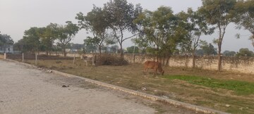 Plot Area in  Plot at Chhatikara – for Sale