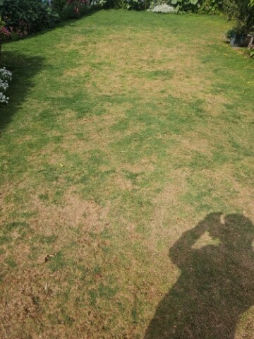 Plot For Sale in Mandi