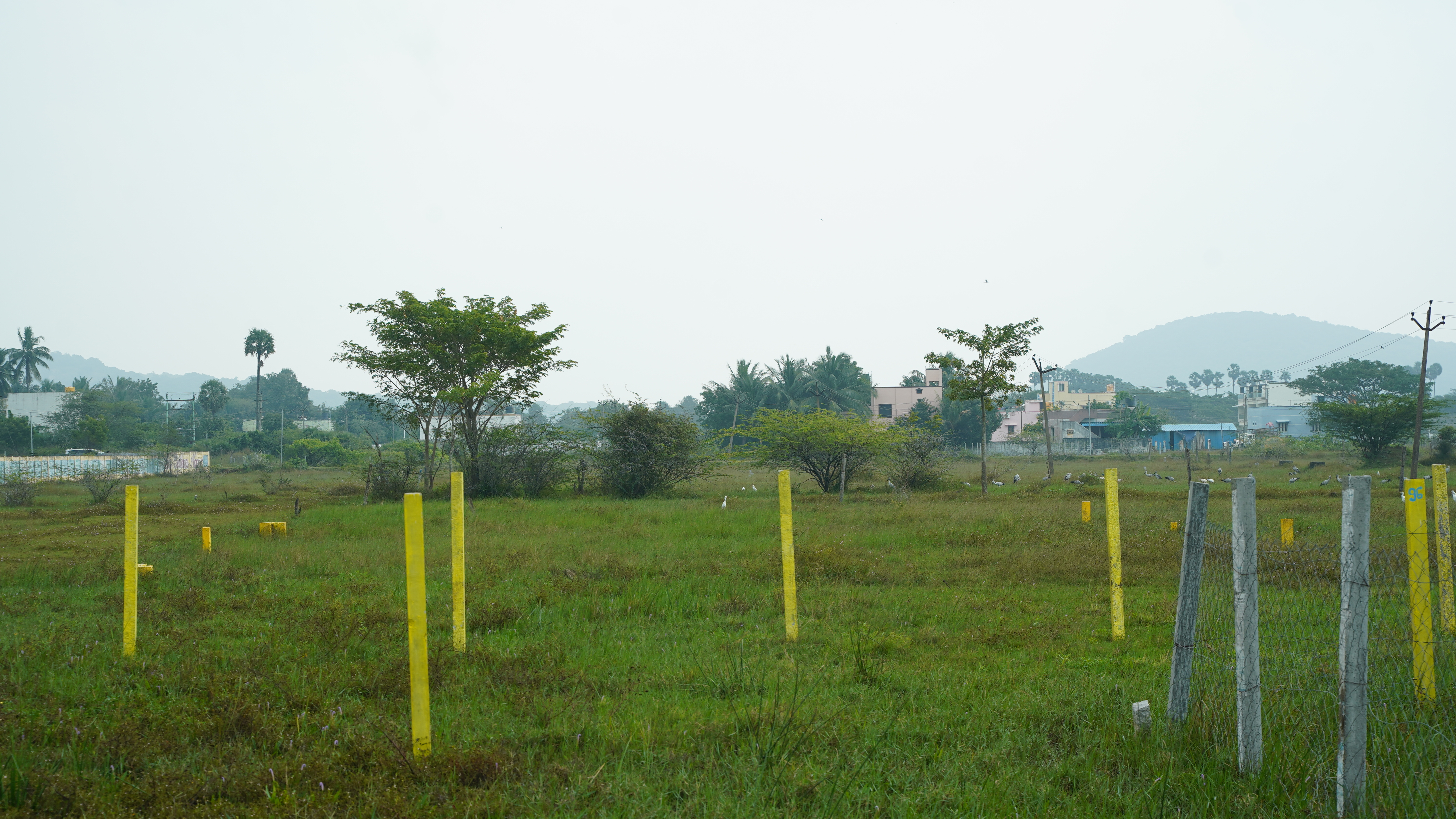 Plot For Sale in Guduvanchery
