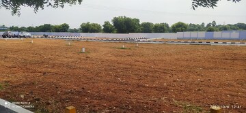 Plot Area in  Plot at Arcot – for Sale