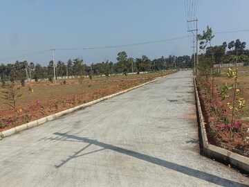 Plot Area in  Plot at Bhogapuram – for Sale