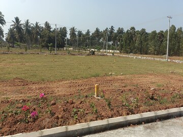 Plot Area in  Plot at Bhogapuram – for Sale
