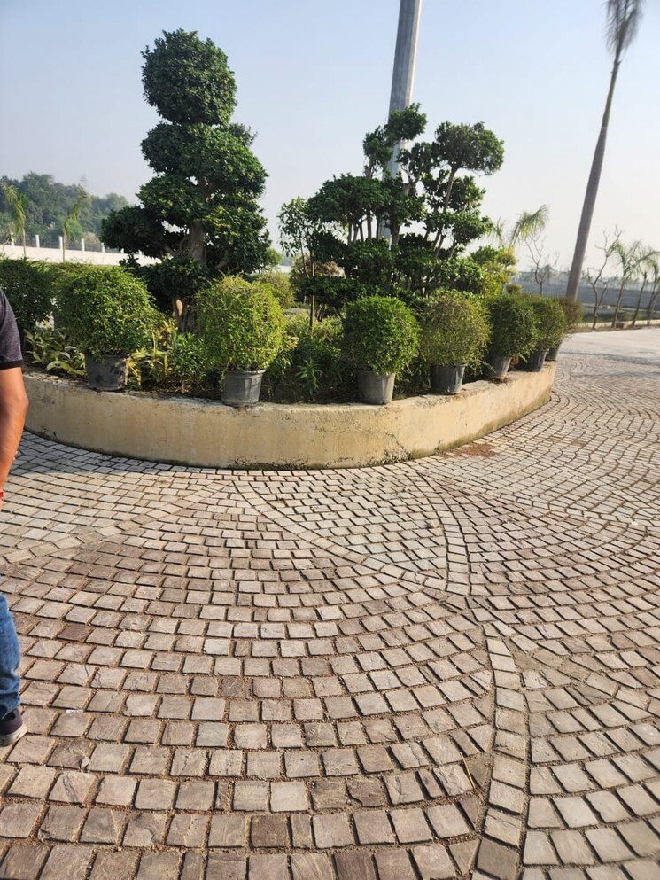 Exterior View, barha  1000 Sq.Ft. Plot In Barha Lucknow 8286112