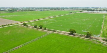  Land – Garden View at Buddha Marg - for Sale