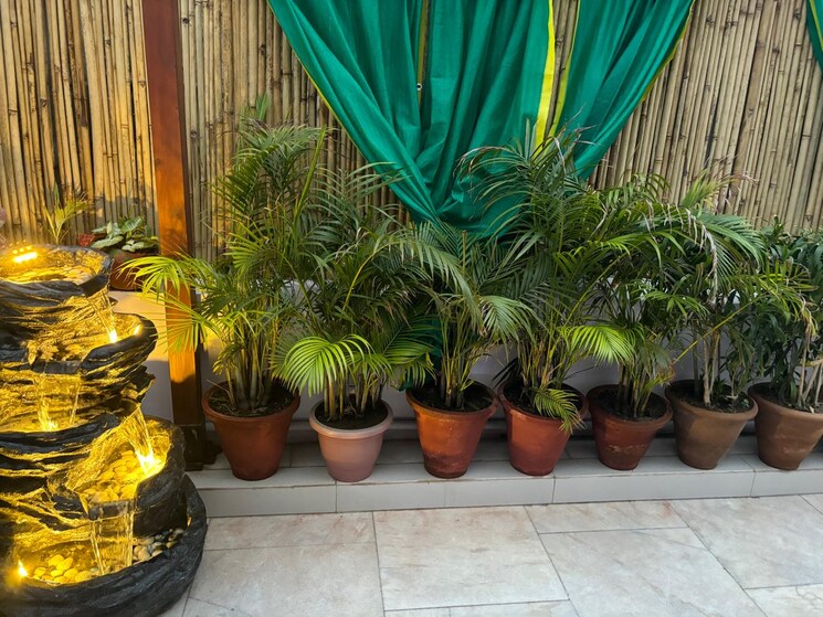 Garden, kailash colony 3 Bedroom 1300 Sq.Ft. Builder Floor In Kailash Colony Delhi 8286258