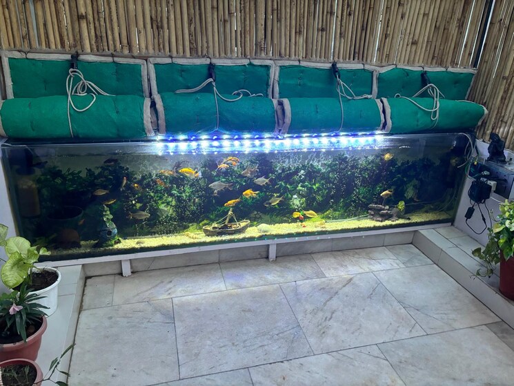 Swimming Pool, kailash colony 3 Bedroom 1300 Sq.Ft. Builder Floor In Kailash Colony Delhi 8286258