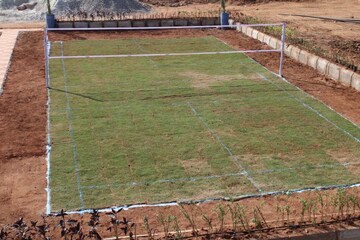 Plot Area in  Plot at Shadnagar – for Sale