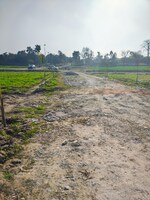 100 Sq.Yd. Plot in Dharmawala