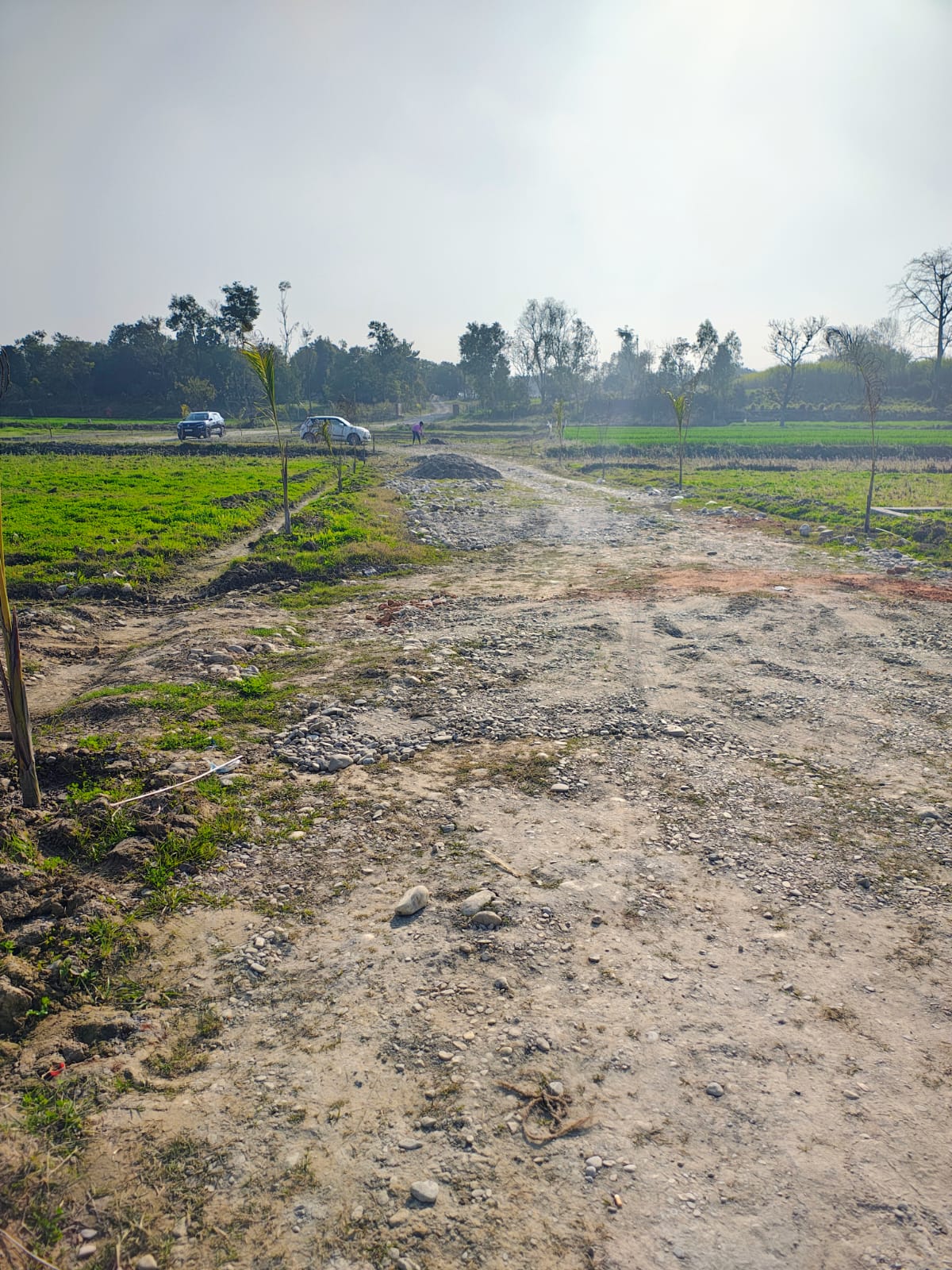 Plot For Sale in Dharmawala