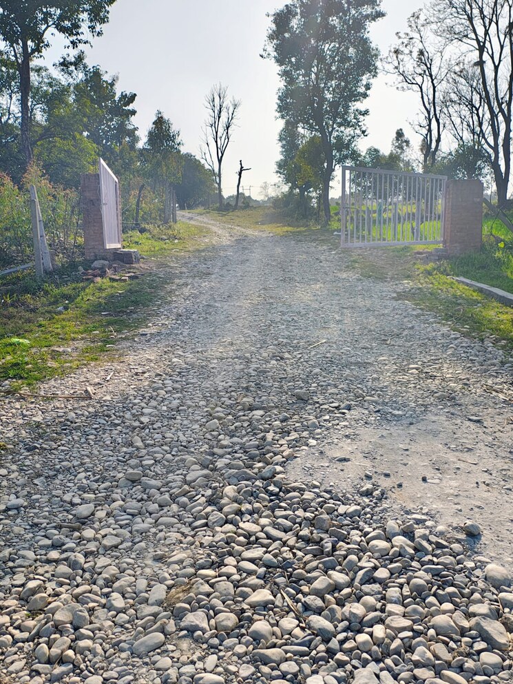 undefined, herbertpur  100 Sq.Yd. Plot In Herbertpur Dehradun 8286346