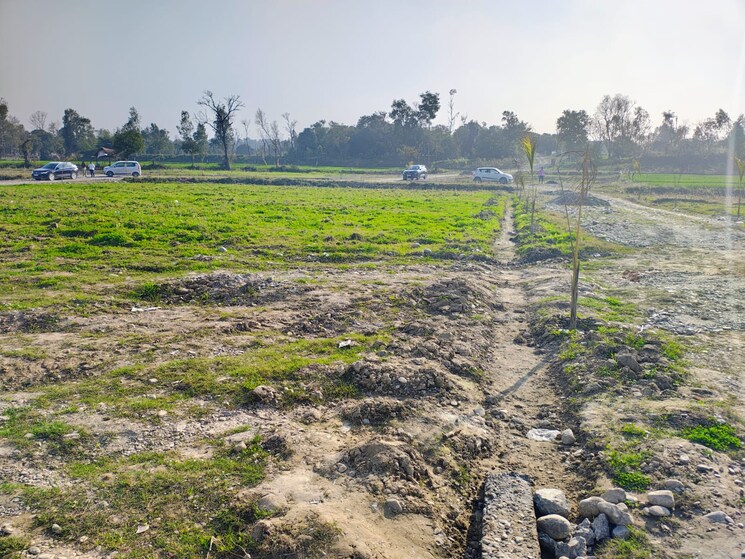 undefined, herbertpur  100 Sq.Yd. Plot In Herbertpur Dehradun 8286346