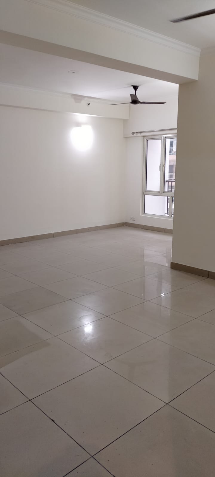 3.5 BHK + Study Room Apartment For Sale in Panchsheel Greens