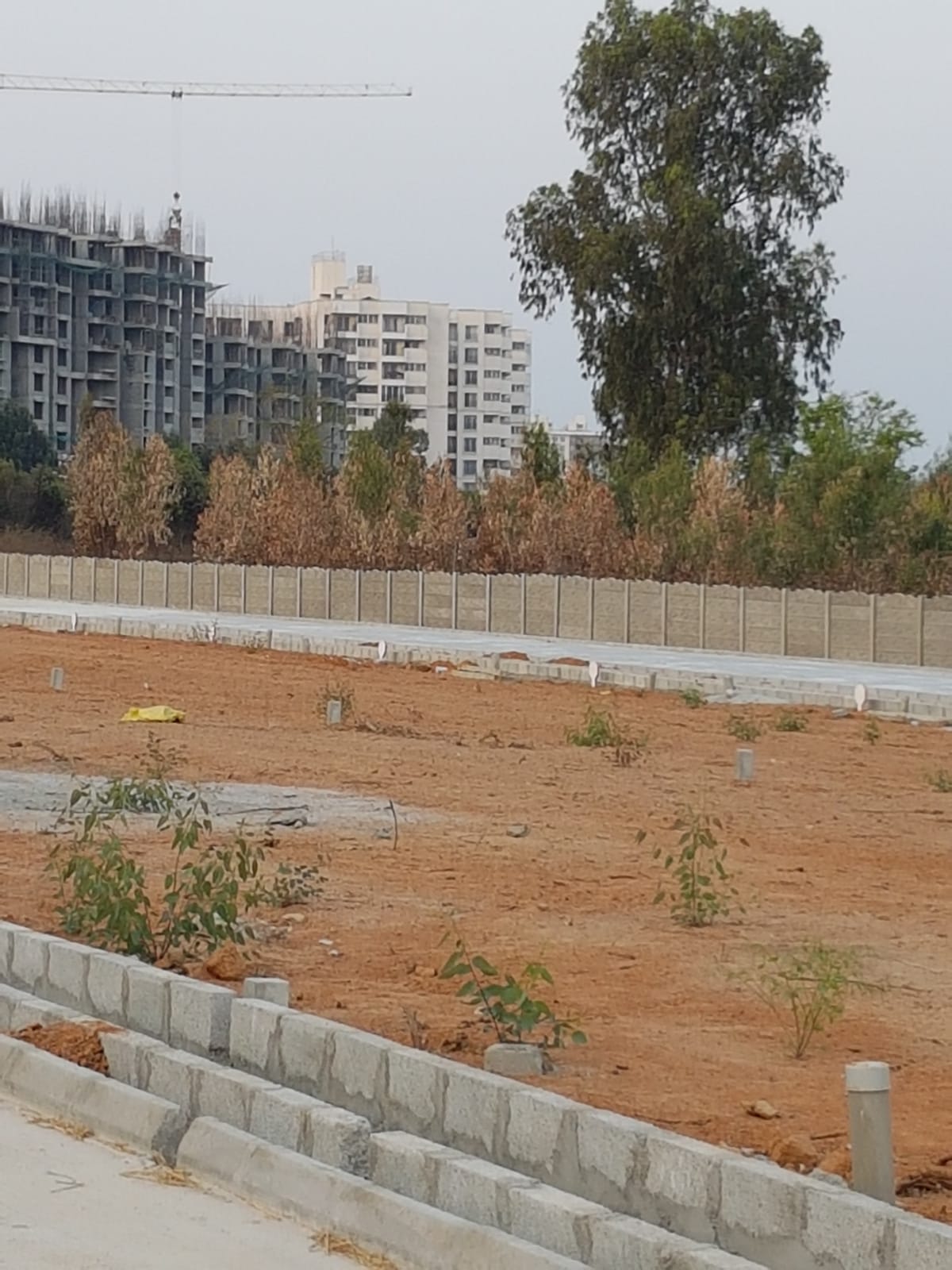 Plot For Sale in Mahanidhi Layout