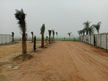Plot Area in  Plot at Tappal – for Sale