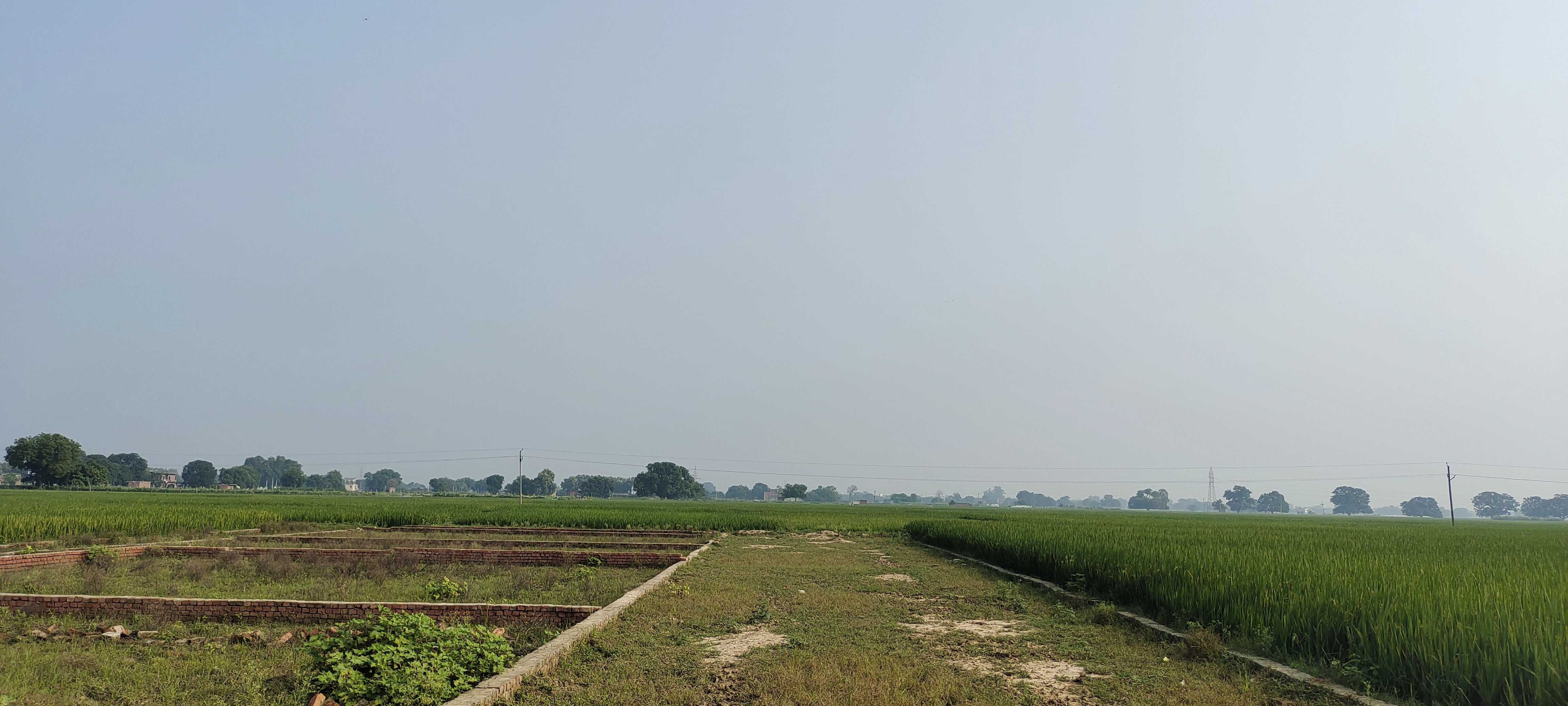 Plot For Sale in Gangapur Rohaniya Road 