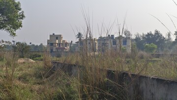 Plot Area in  Plot at Sonakshi Dream Township, Joka – for Sale