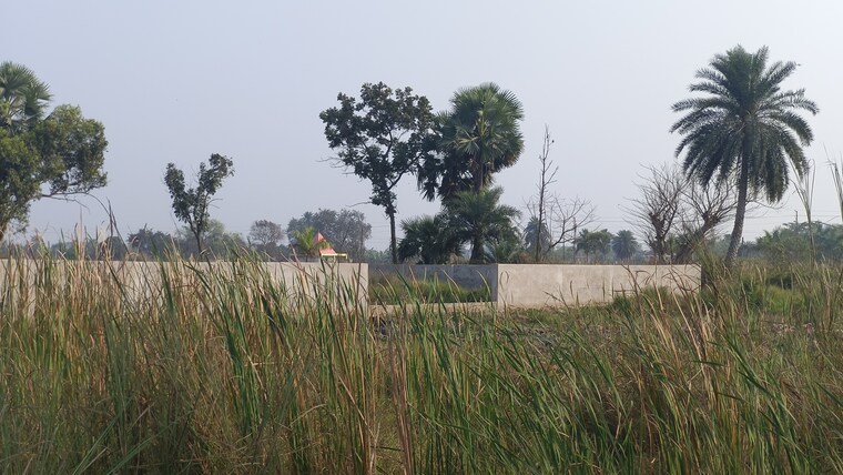 undefined, sonakshi-dream-township  1440 Sq.Ft. Plot In Joka Kolkata 8287439