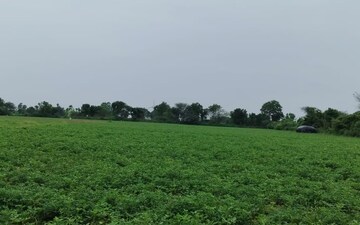 Land For Rent in Mumatpura