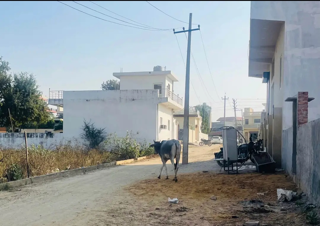 Plot For Sale in Dhankot