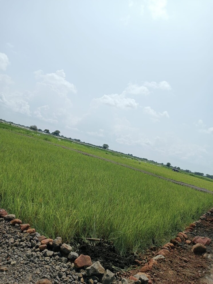 undefined, suhagi  1000 Sq.Ft. Plot In Suhagi Jabalpur 8288402