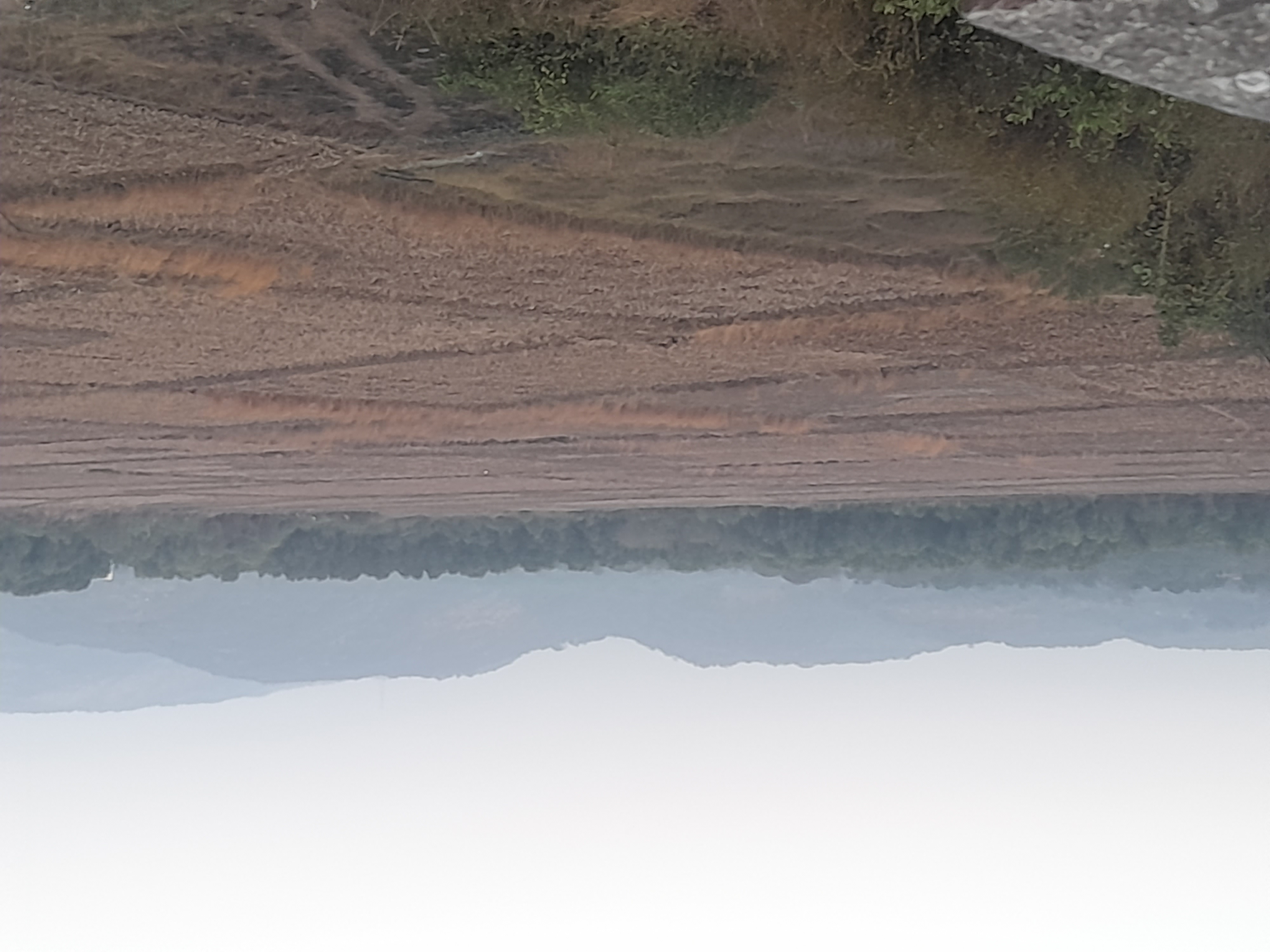 Plot For Sale in Residential Plot 