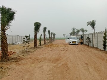 Plot Area in  Plot at Tappal – for Sale
